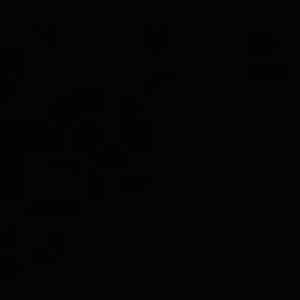 Meet your Posher, Bell